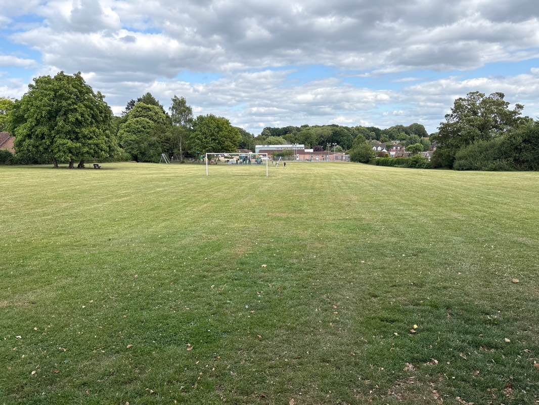 walking near me in Taverham Park in summer