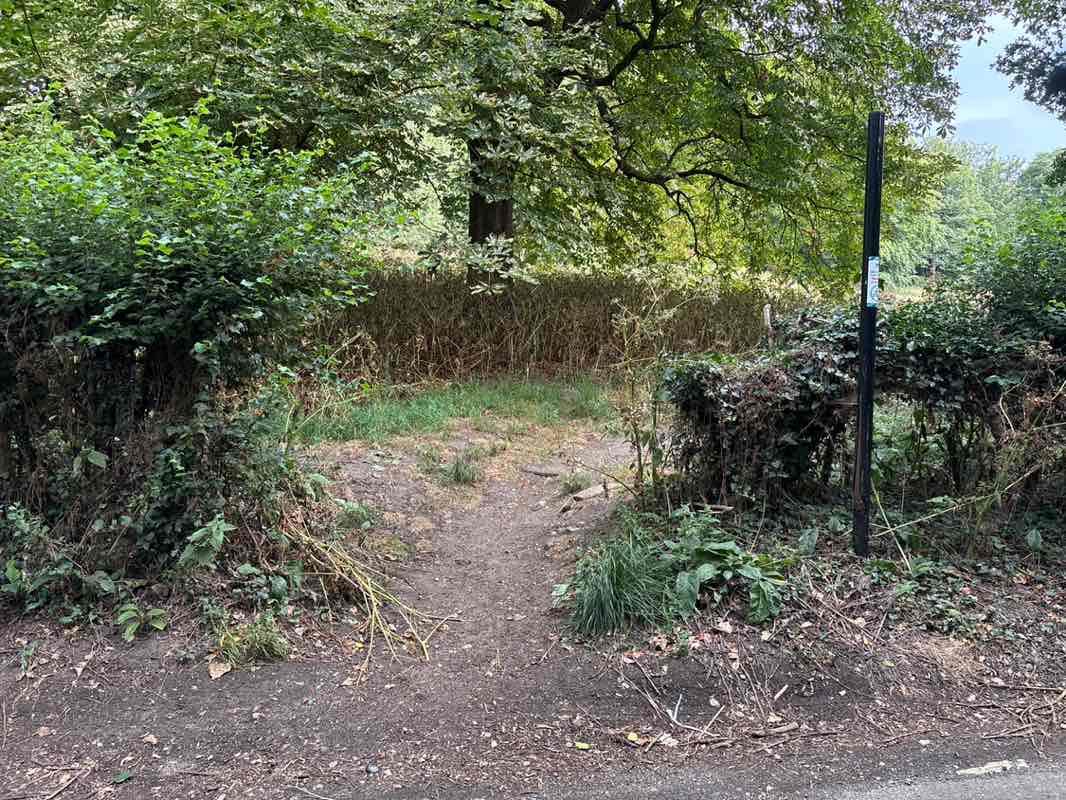 walking near me in Beccles Community Woodland Project in autumn