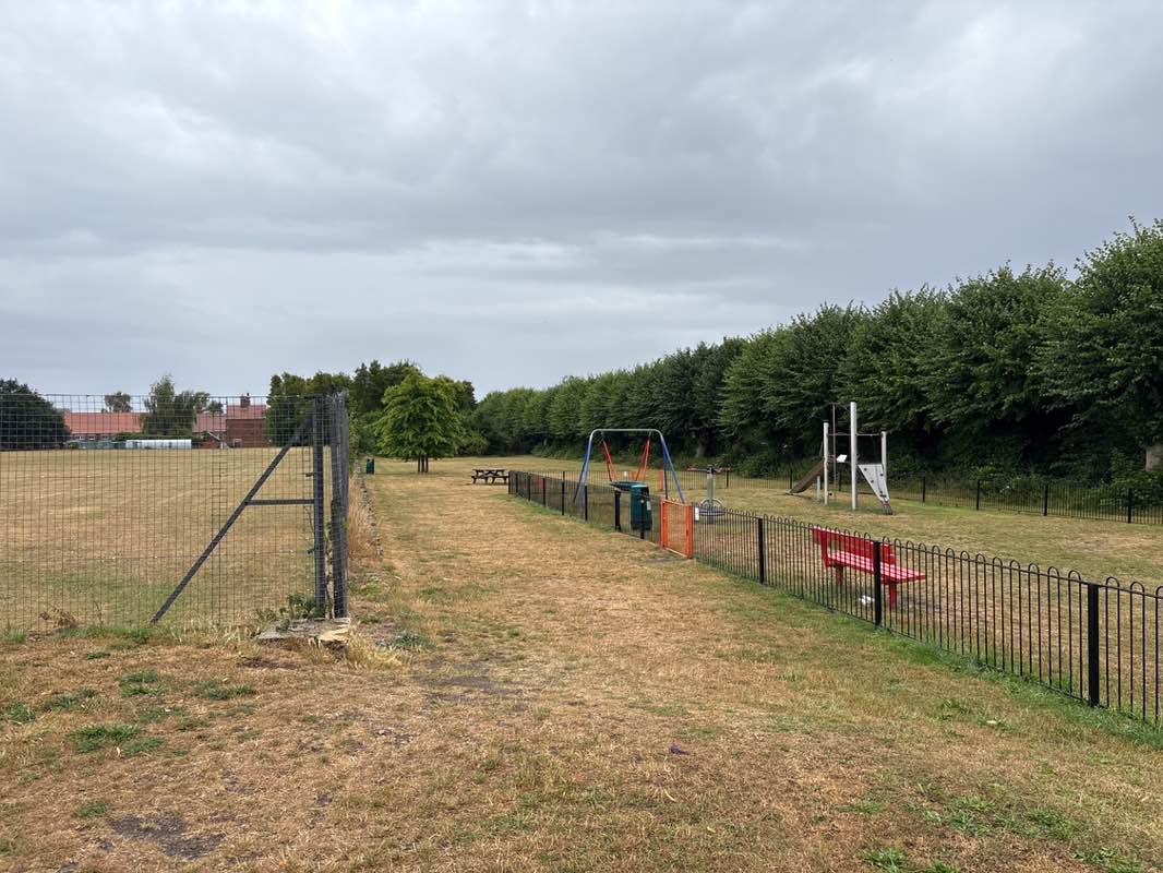 walking near me in Wensum View Park in summer