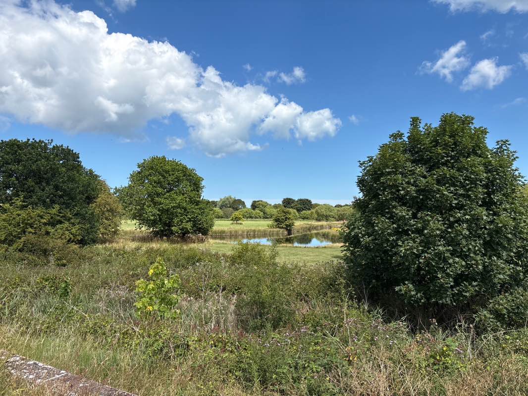 walking near me in Bure Park in autumn