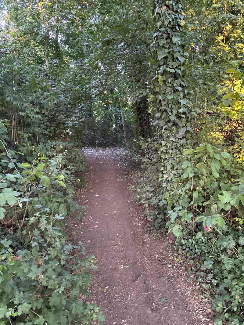 walking near me in Rackheath Jubilee Park in autumn