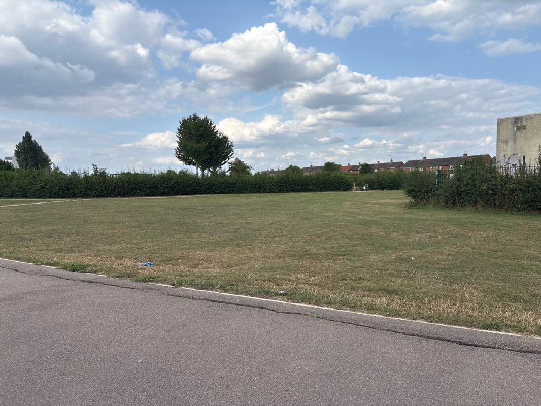 walking near me in Blaby Road Park in autumn