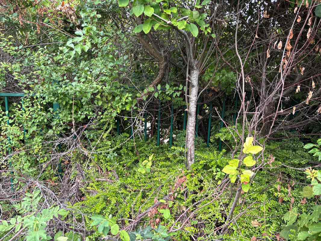 walking near me in Stanton Wood in autumn