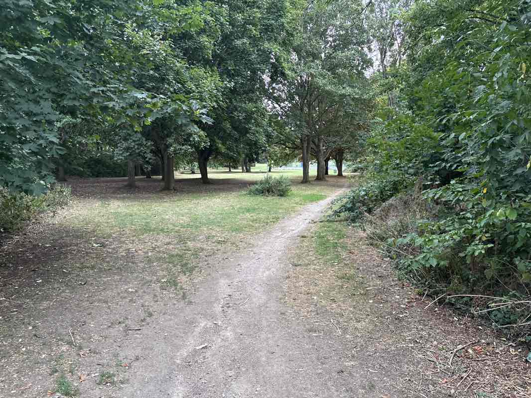 walking near me in Mossdale Meadows in autumn
