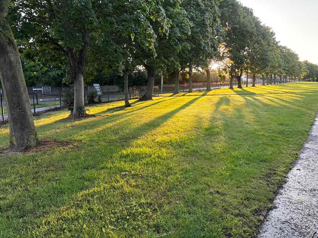 walking near me in Rosedale Park in autumn
