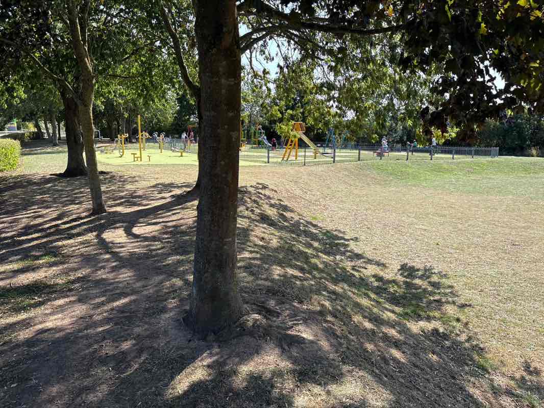 walking near me in Oliver Park in autumn