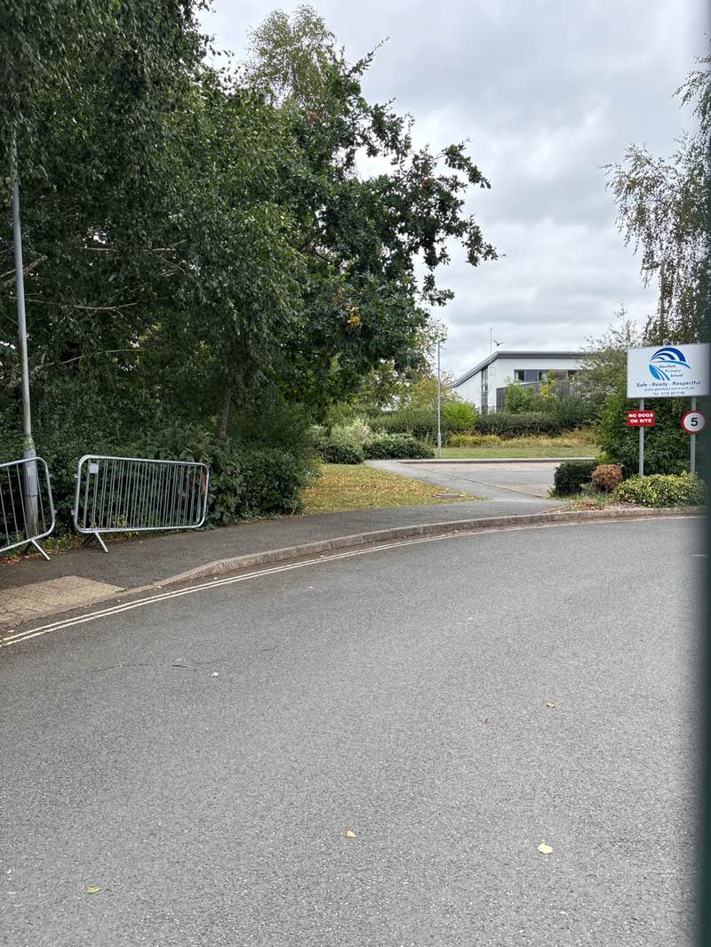 walking near me in Ellis Park in autumn