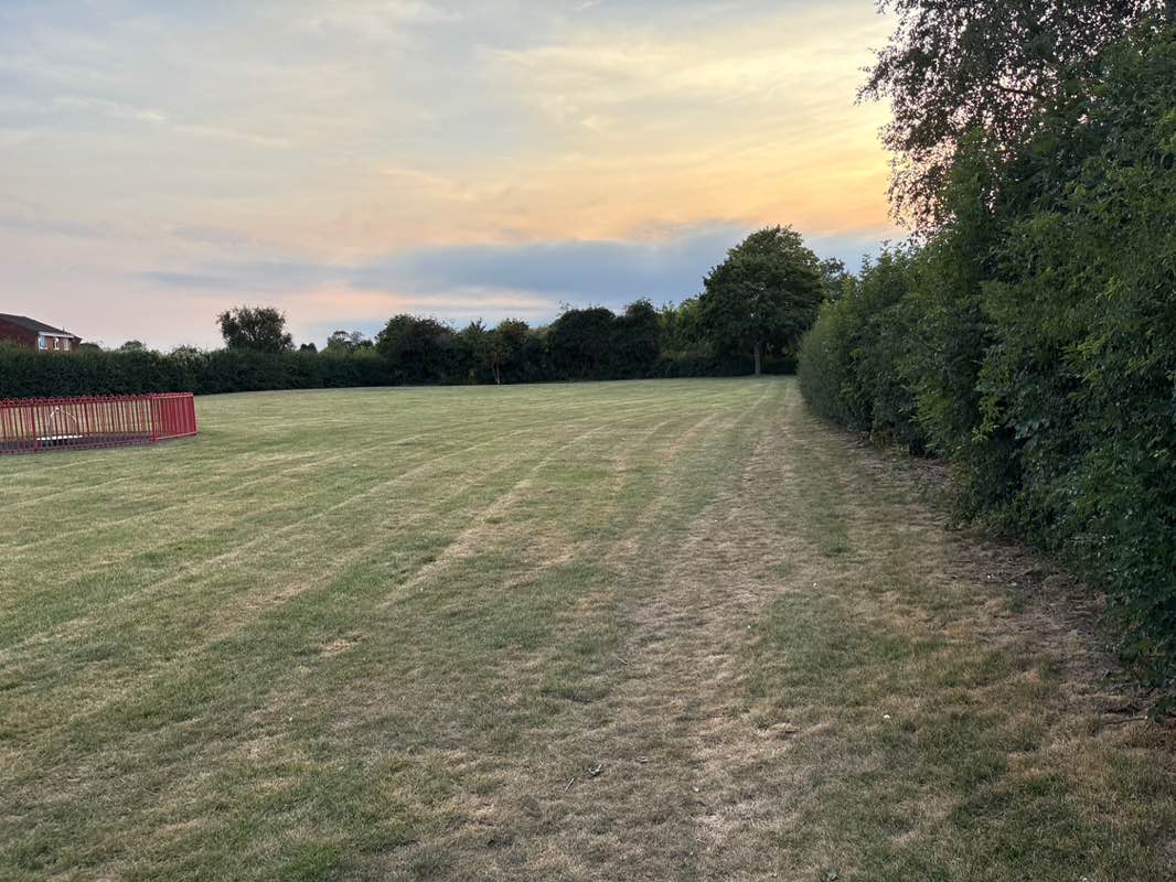 walking near me in Boston Way Park in autumn