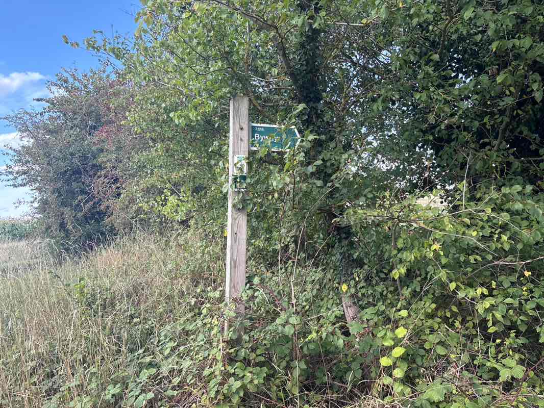 walking near me in Aggie's Piece (Barningham Pocket Park) in autumn