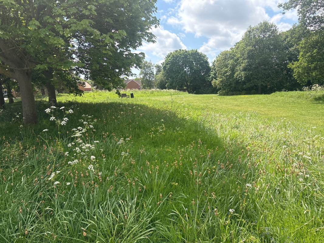 walking near me in Jollys Pightle in spring