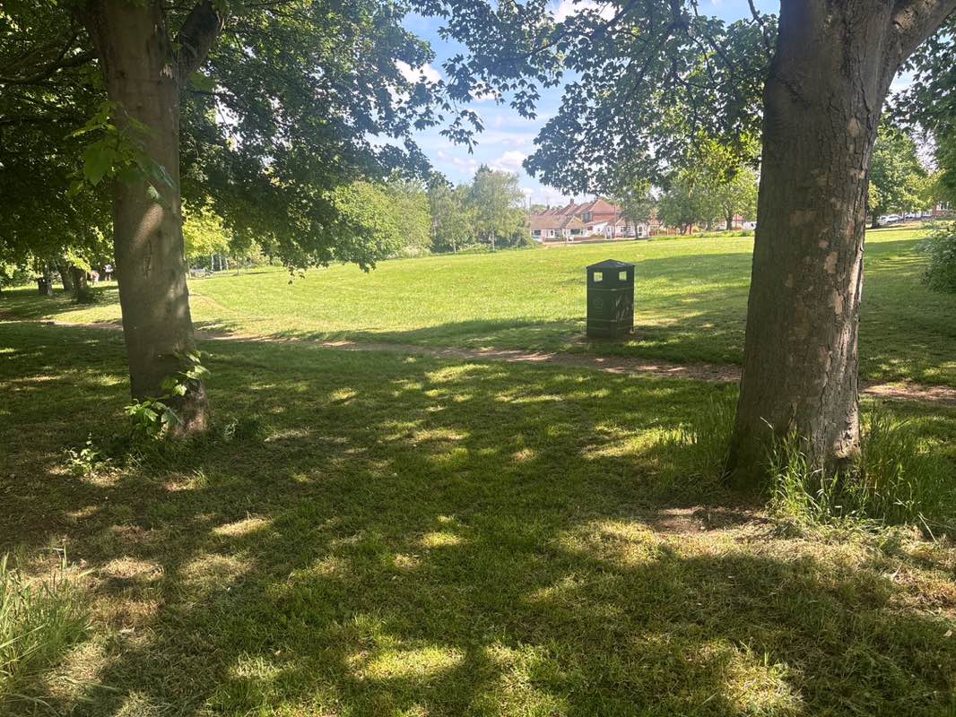 walking near me in Downing Drive Open Space in summer