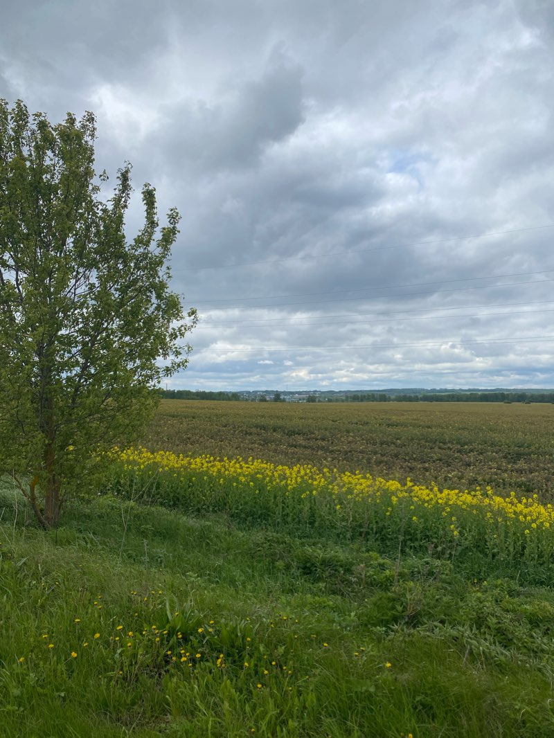 walking near me in сквер Калинникова in winter