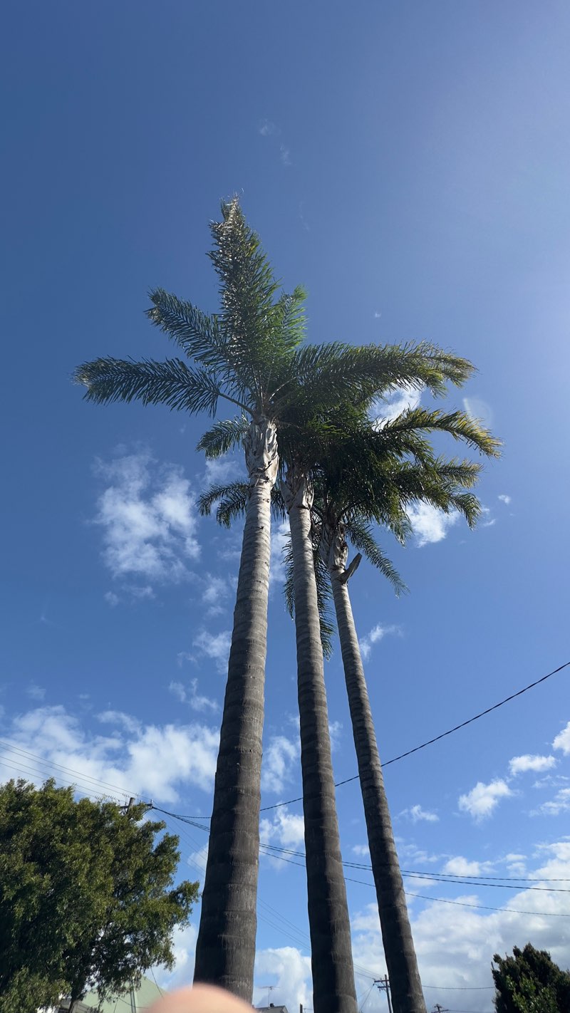 walking near me in Gregson Park in summer