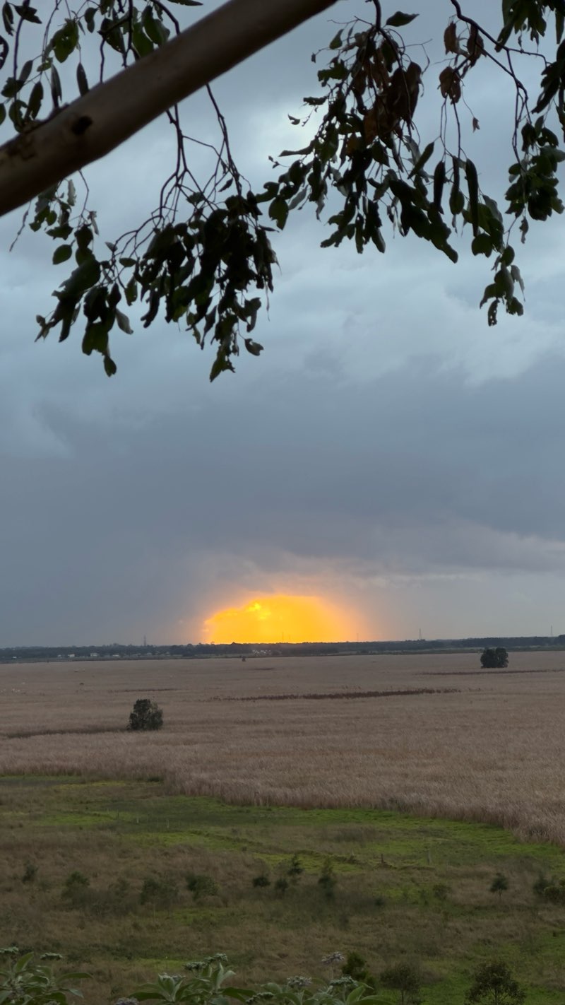 walking near me in Kauma Park in autumn