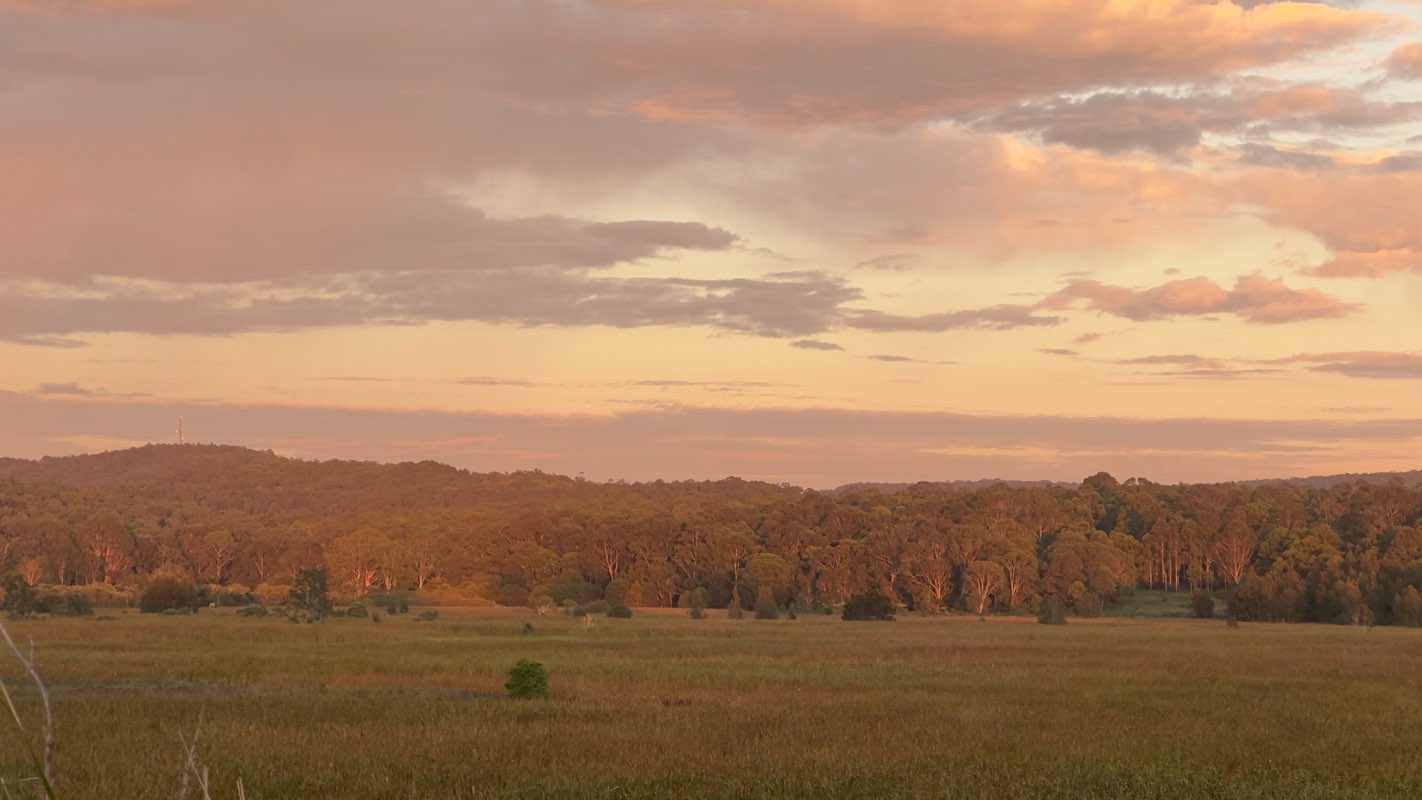 walking near me in Kurraka Reserve in autumn
