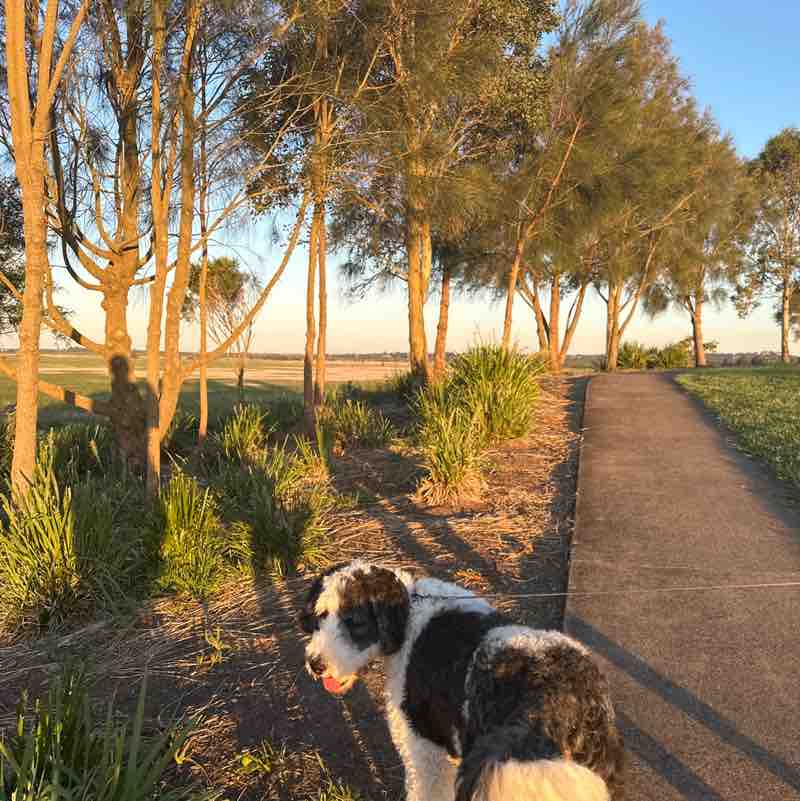 Robbie C 🌞🦘🇦🇺 post 1