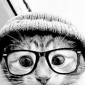 Morris