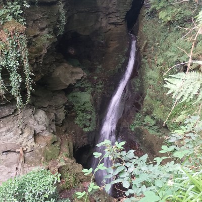 Dorset Walkers Steven post image