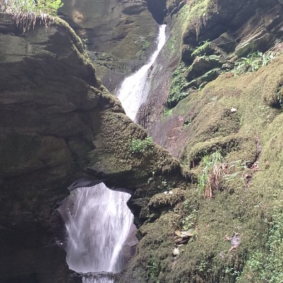 Dorset Walkers Steven post image