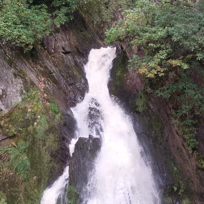 Dorset Walkers Steven post image