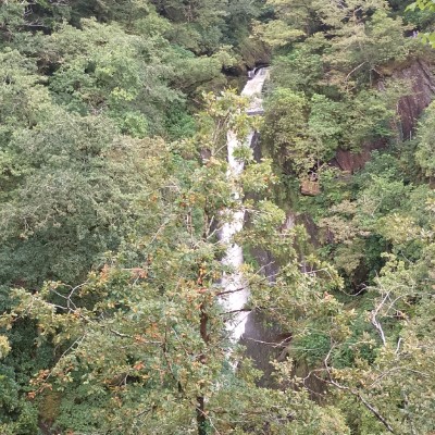 Dorset Walkers Steven post image