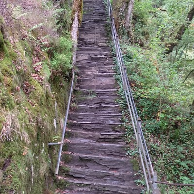 Dorset Walkers Steven post image