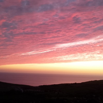 Dorset Walkers Steven post image