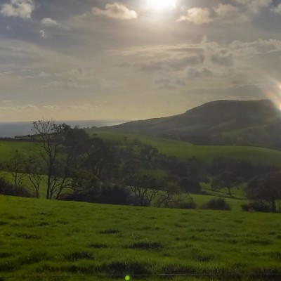 Dorset Walkers Steven post image
