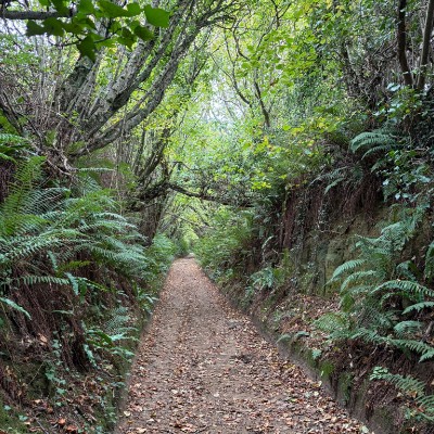 Dorset Walkers Steven post image