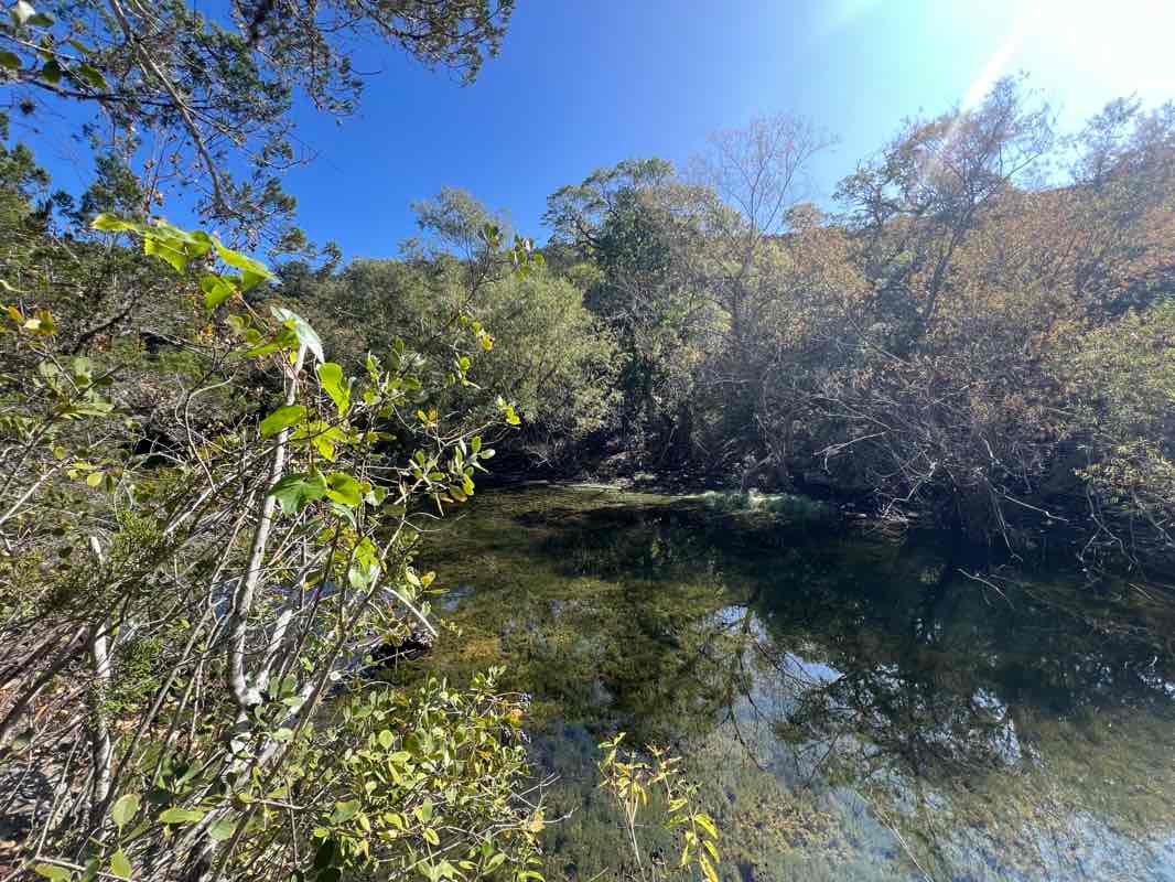 walking near me in Lost Maples State Natural Area in spring
