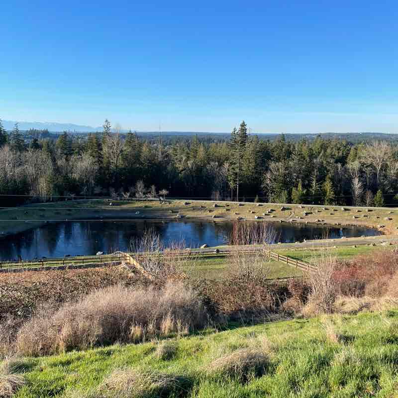 Margarita 🧟‍♀️ post 1