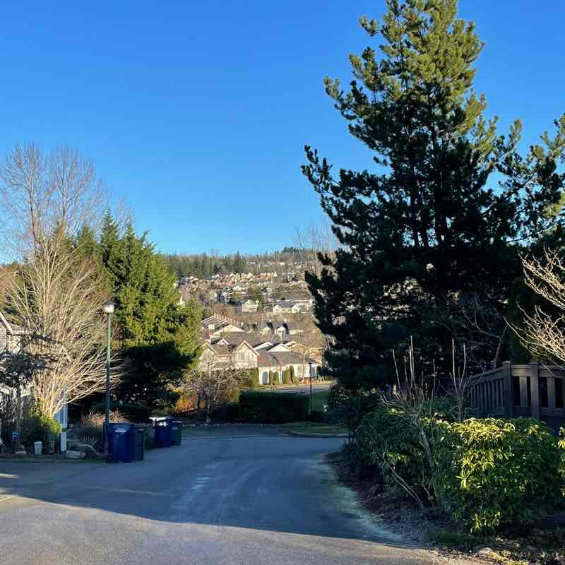 Margarita 🧟‍♀️ post 2