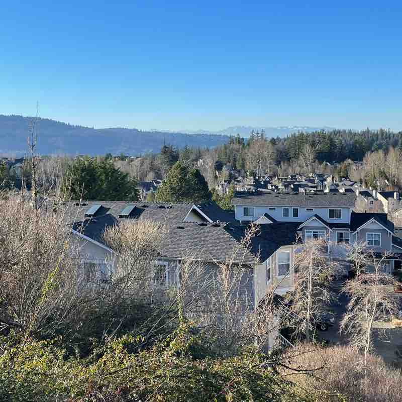 Margarita 🧟‍♀️ post 1