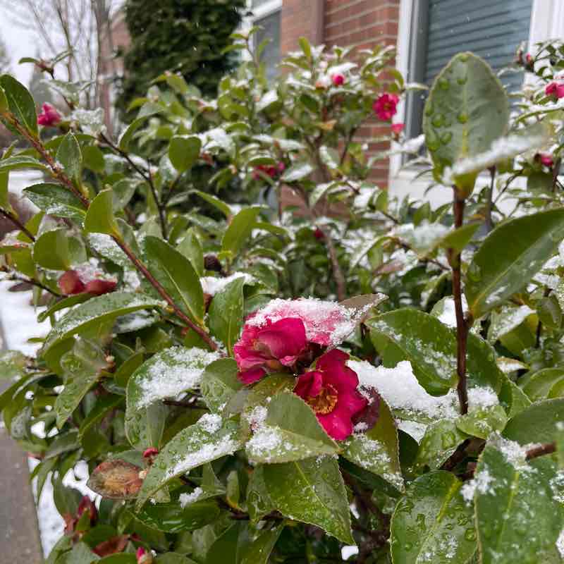 Margarita 🧟‍♀️ post 1