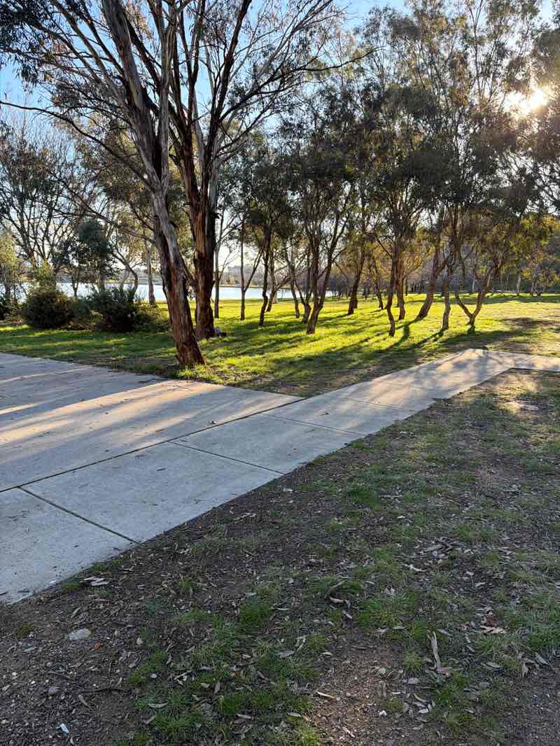 walking near me in Grevillea District Park in winter