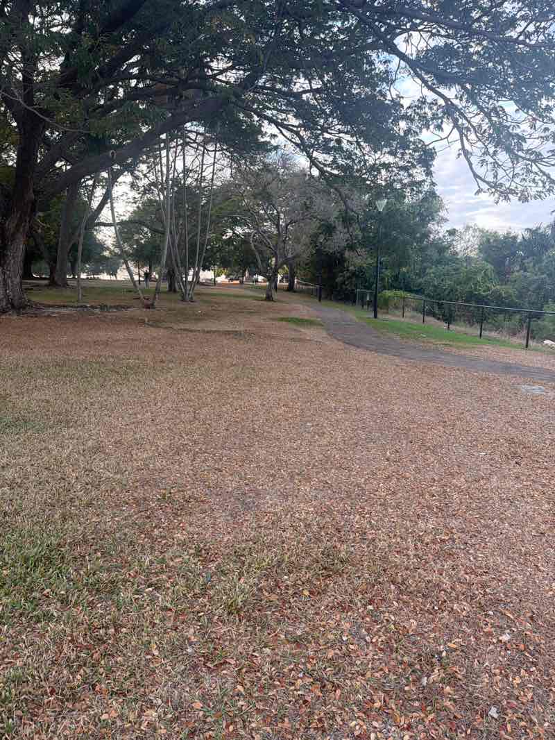 walking near me in Bicentennial Park in winter