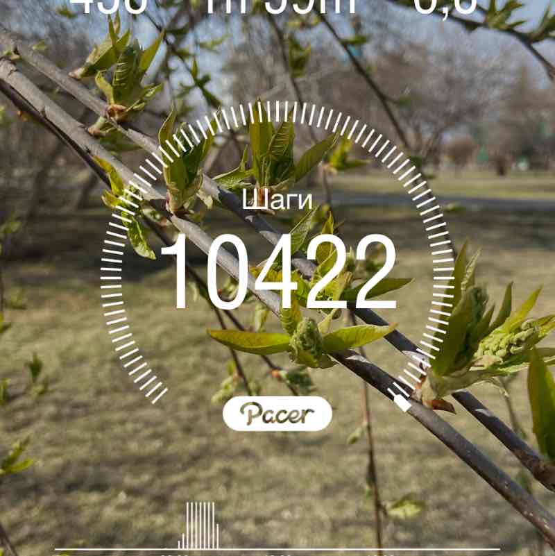 LiKaRa777🐯 post 1
