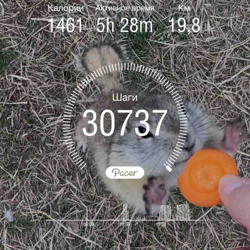 LiKaRa777🐯 post 1