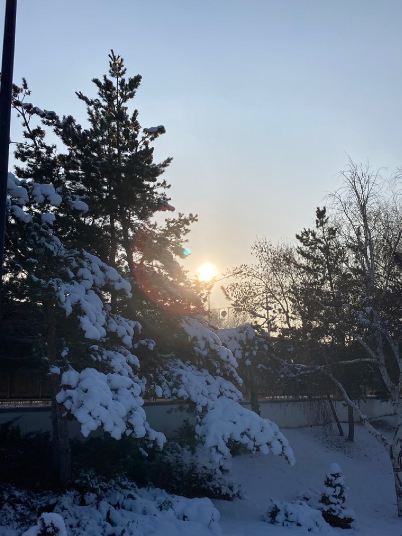 walking near me in 100. Yıl Parkı in winter