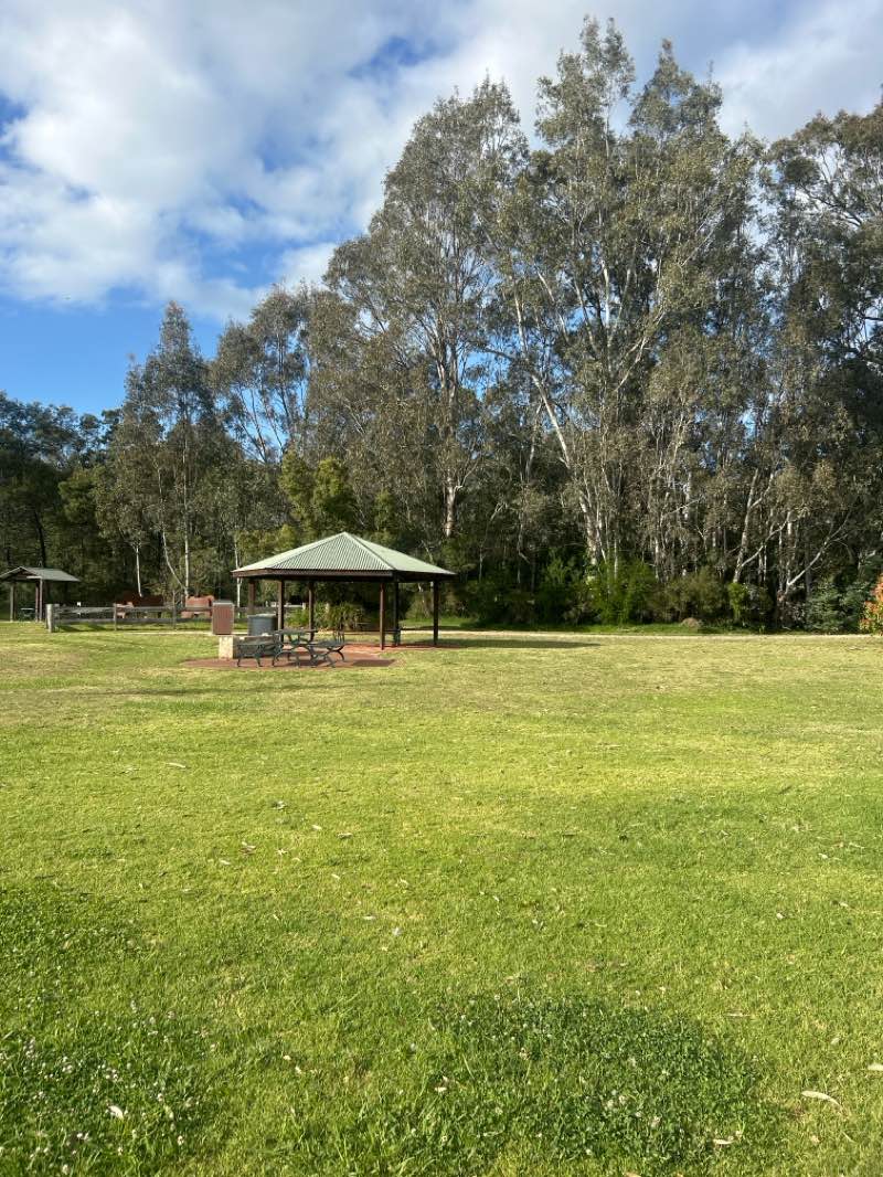 walking near me in Jacees Park in summer