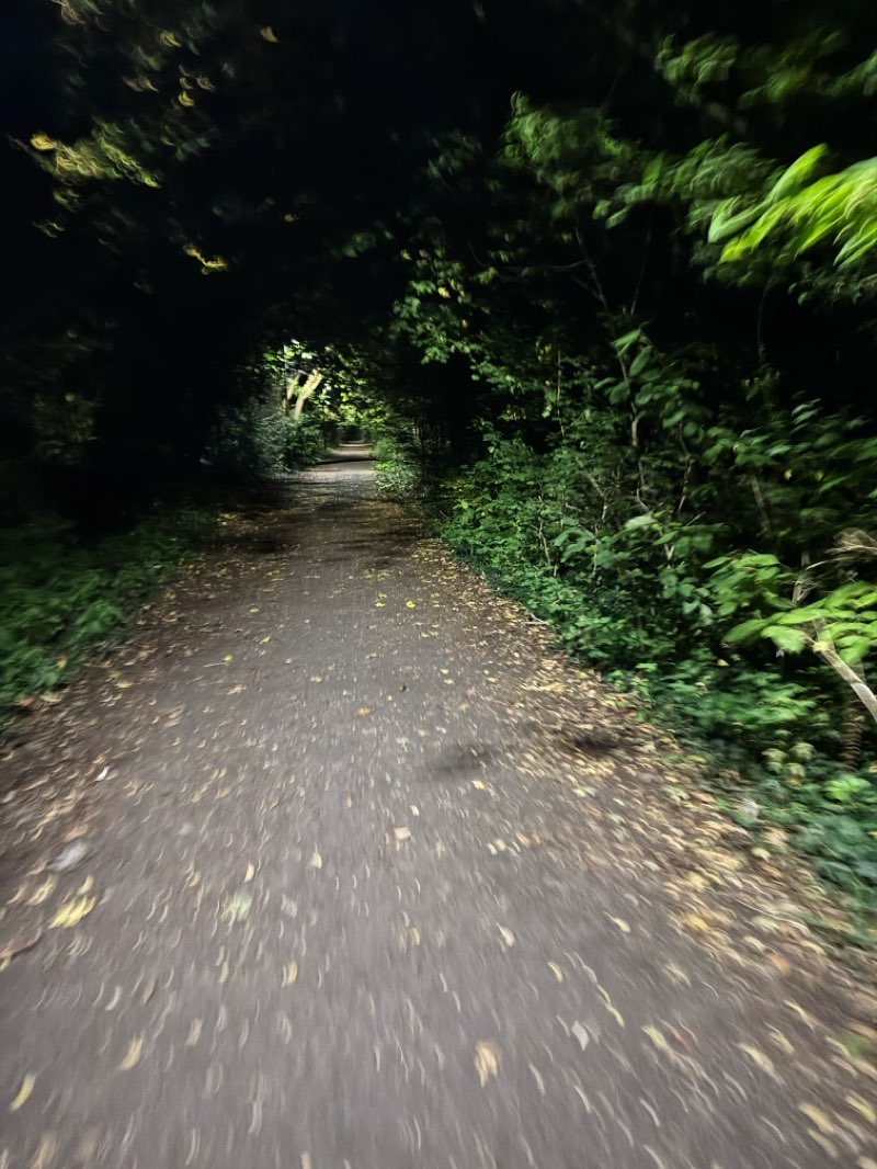 walking near me in Purdown in autumn