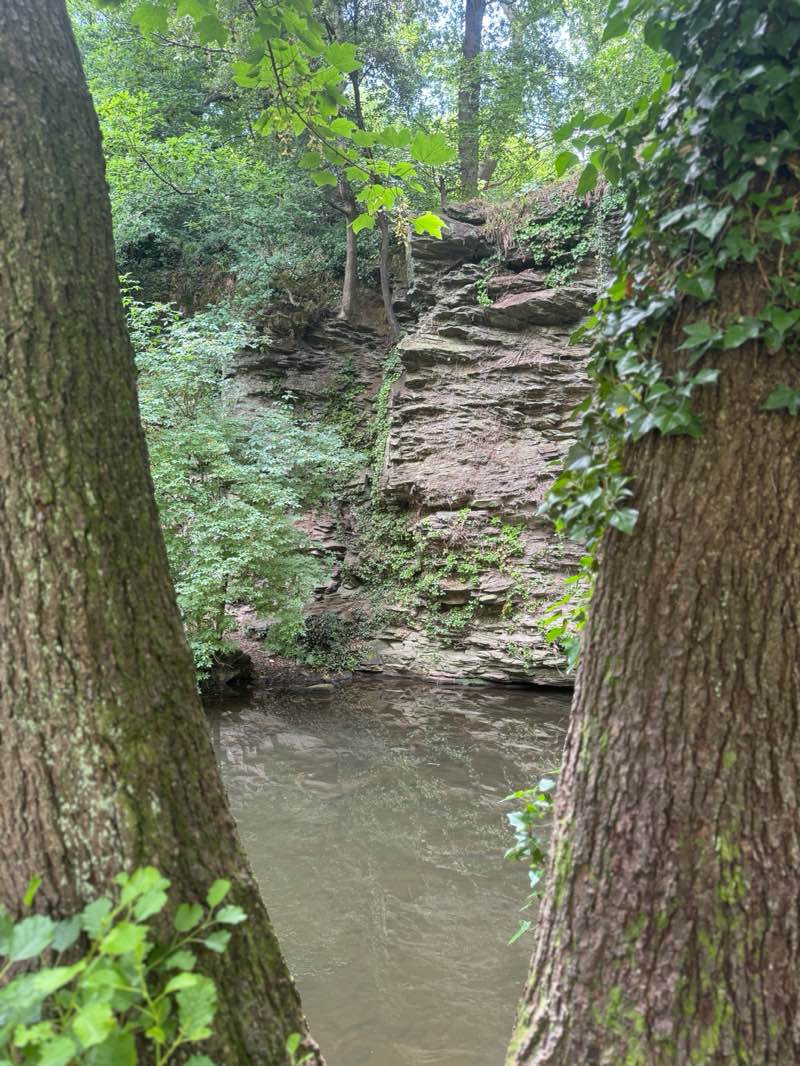 walking near me in Eastville Park in summer
