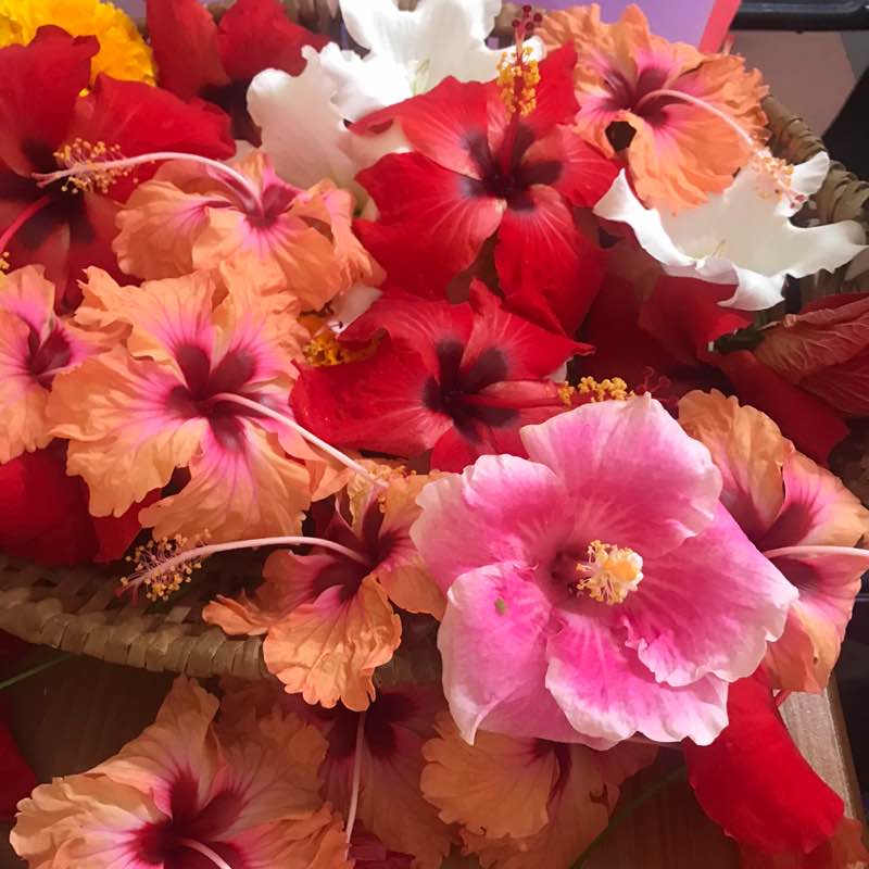 A Maurice on marche ossi! Mellino post image