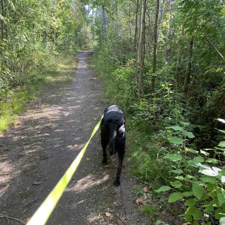 Scott Edwards post 2