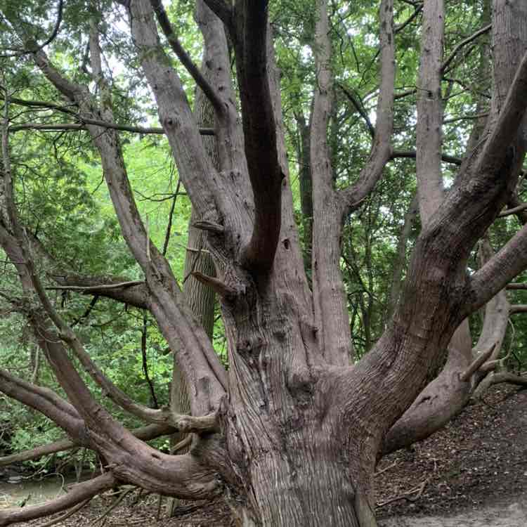 Scott Edwards post 2