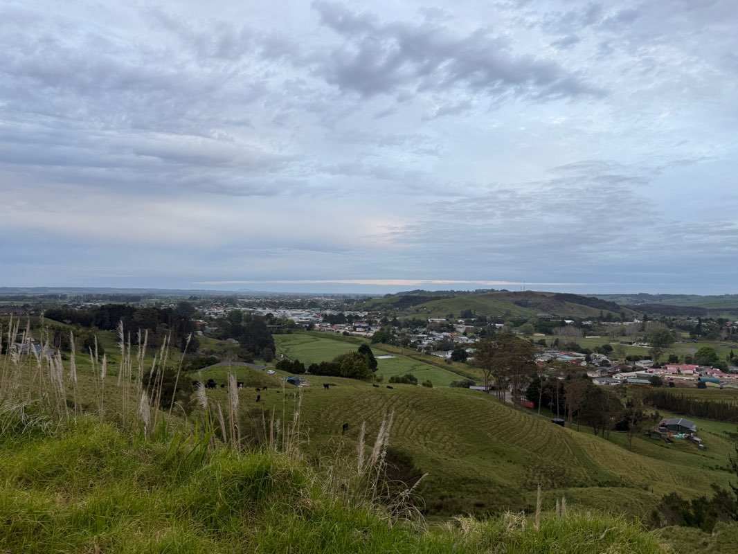 walking near me in Kaitaia Domain in spring