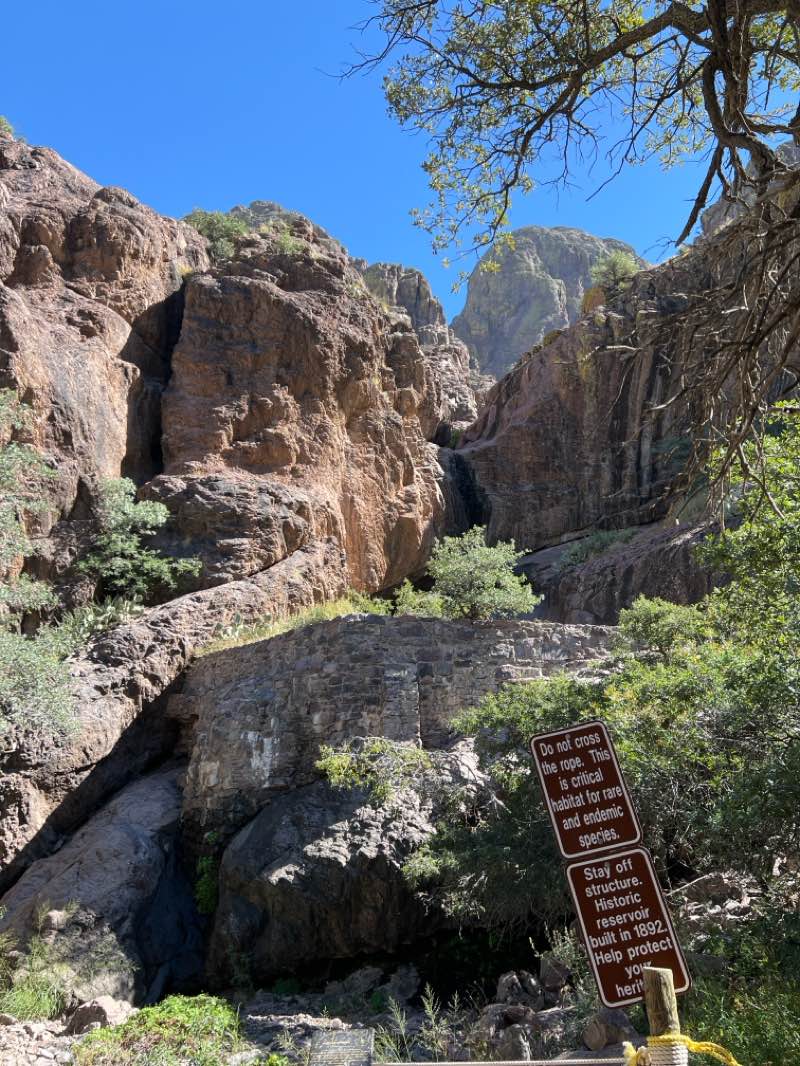walking near me in Organ Needles Wilderness Study Area in autumn