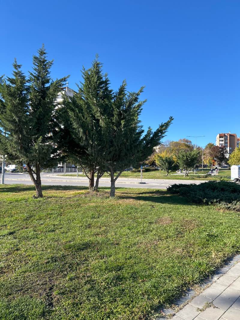 walking near me in парк in autumn