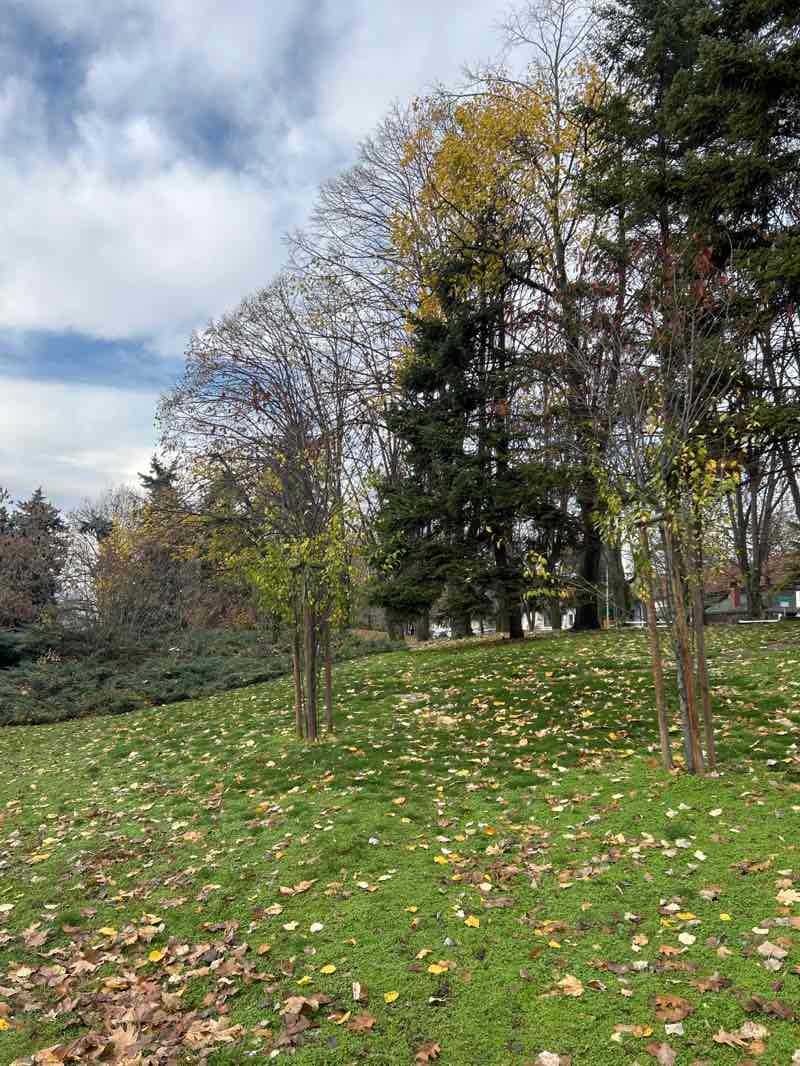 walking near me in Park „Zdrave“ in autumn