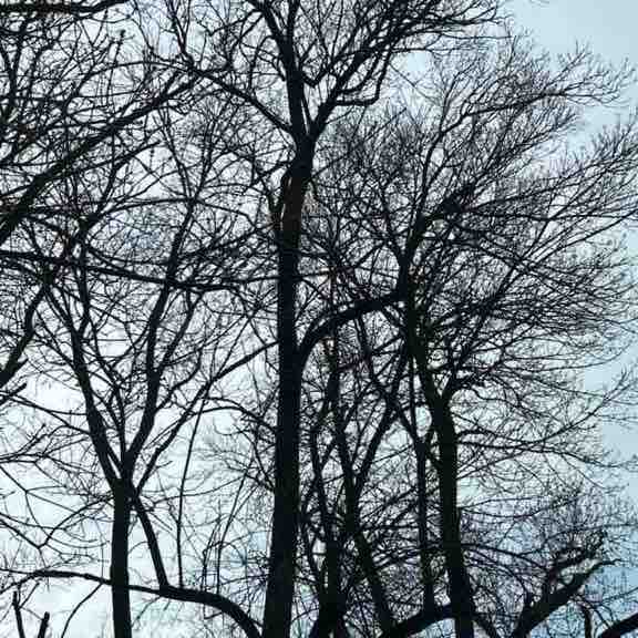 Mateev Tsvetelin post 1